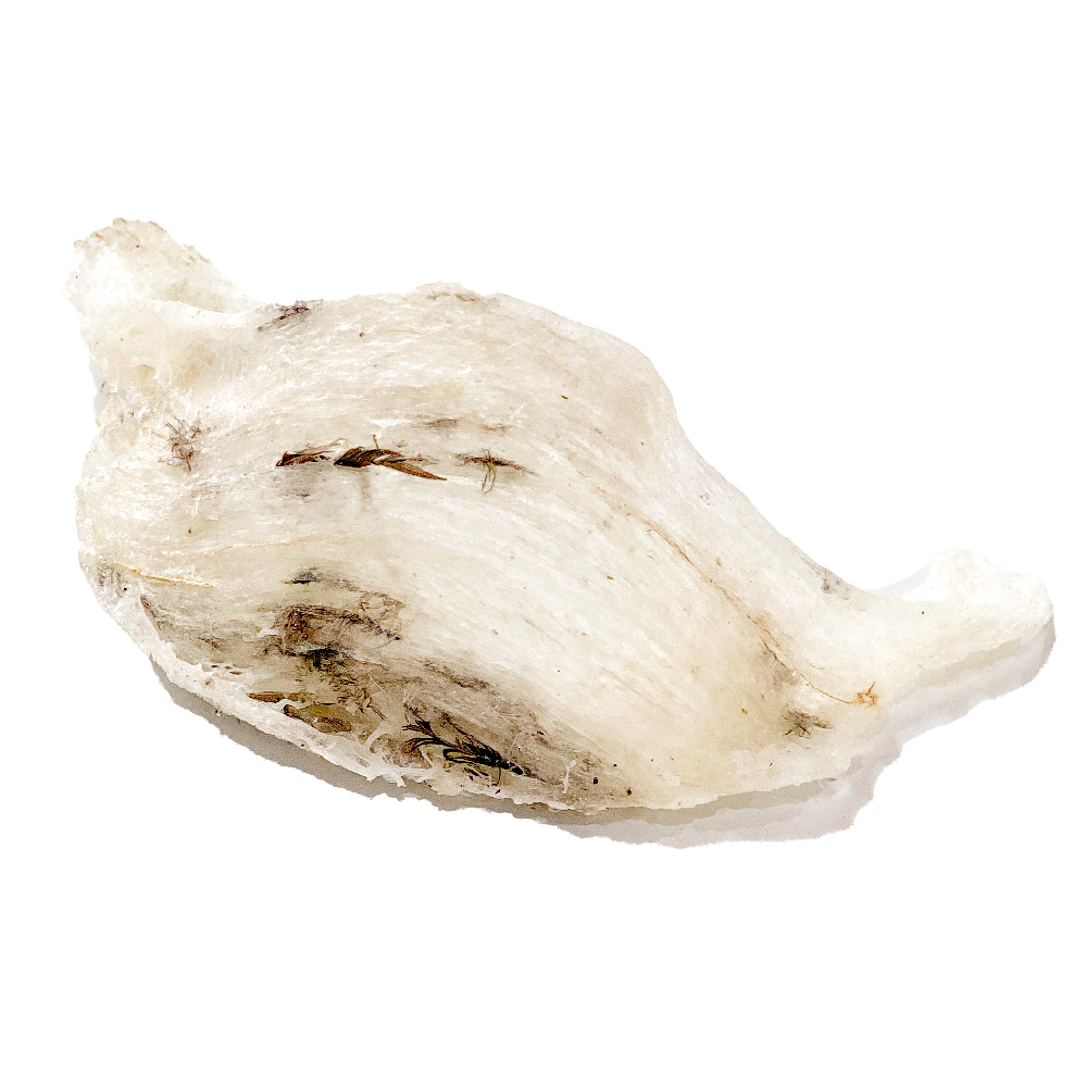 White-1-small